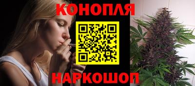 шишки Когалым