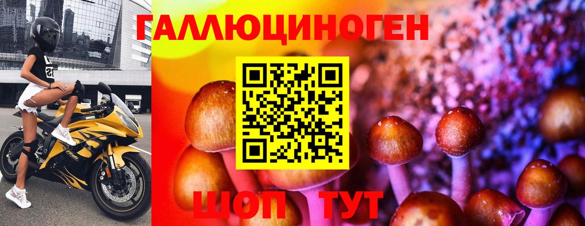 где купить   Псилоцибиновые грибы Magic Shrooms  Вход с VPN  Рыбинск  Галлюциногенные грибы мухоморы 